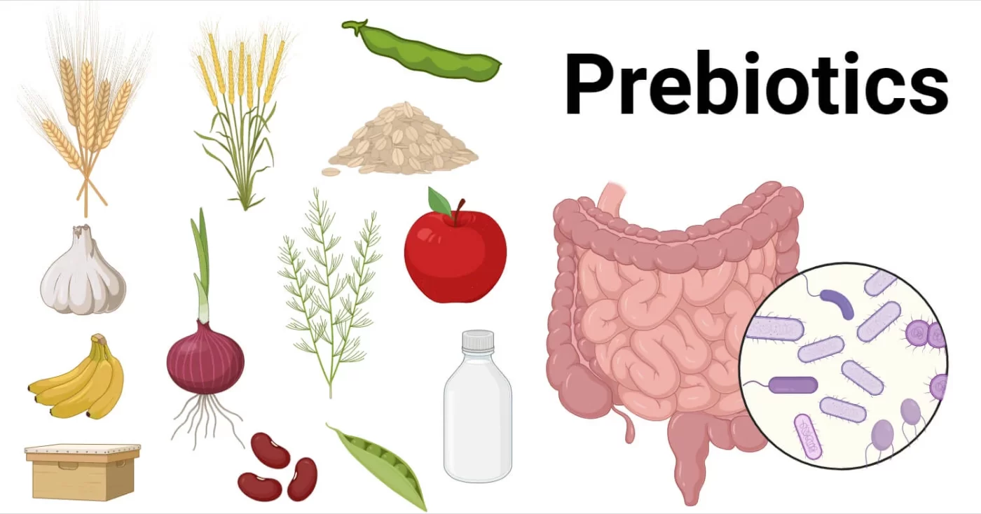 Prebiotics-1400x734