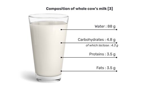 cow-milk-composition-GB