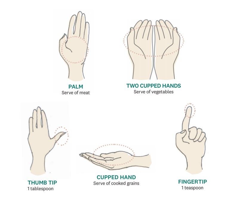 portion_sizes_original_y19swi