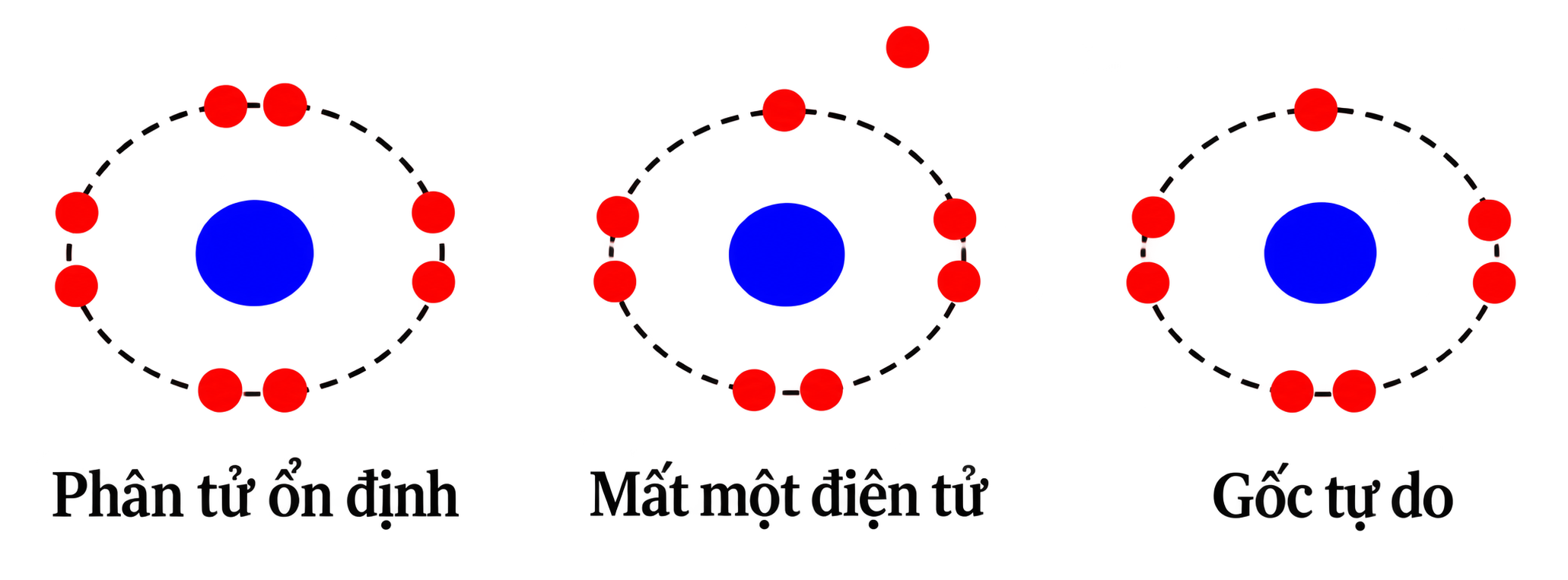 aae6a010-a47c-4b3f-a99f-b71e372e0c60
